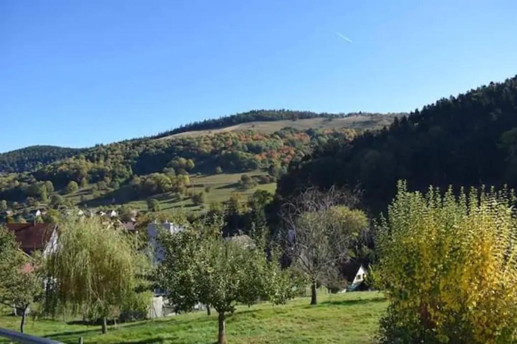 Les Locations De Stephanie ,Gite L'Arbre Vert Sondernach 외부 사진