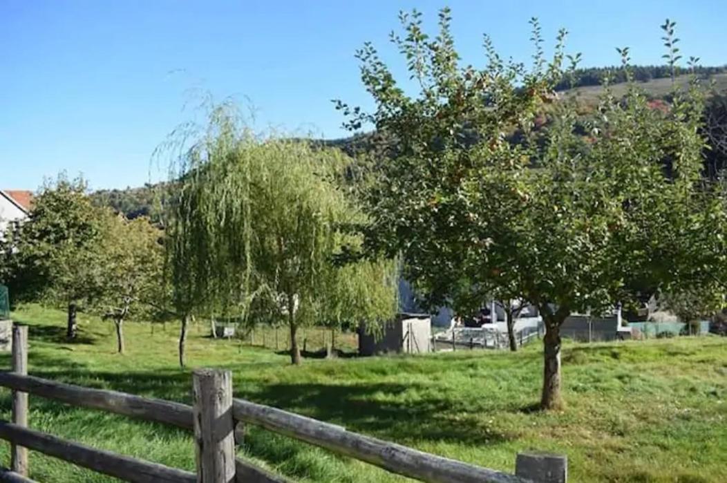 Les Locations De Stephanie ,Gite L'Arbre Vert Sondernach 외부 사진