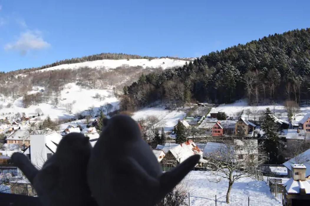 Les Locations De Stephanie ,Gite L'Arbre Vert Sondernach 외부 사진