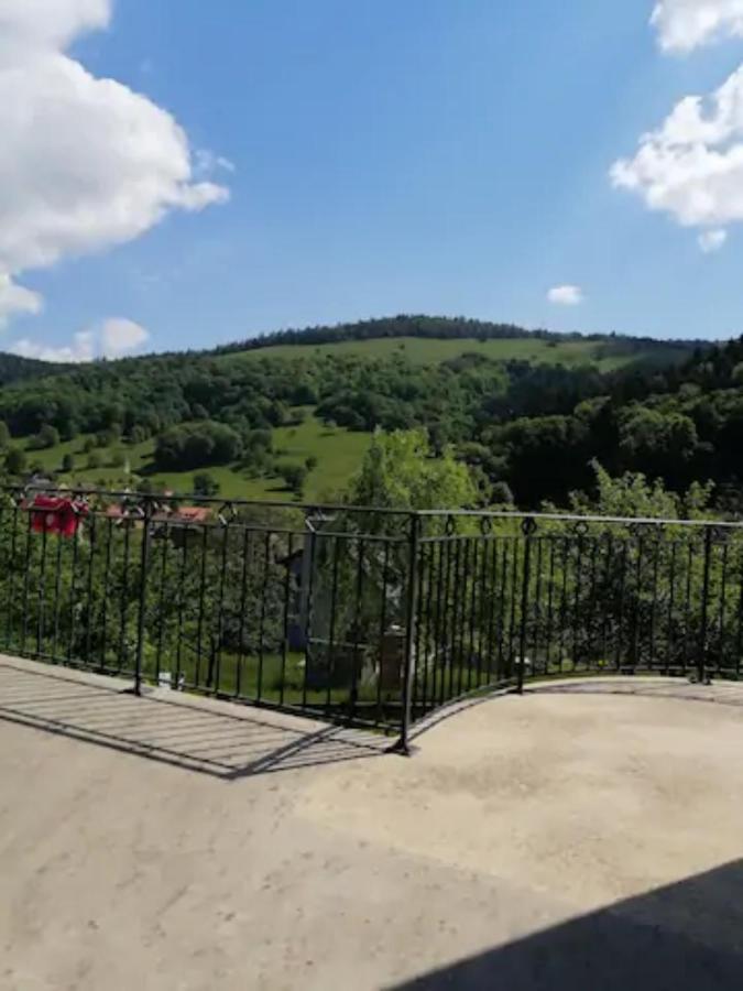 Les Locations De Stephanie ,Gite L'Arbre Vert Sondernach 외부 사진
