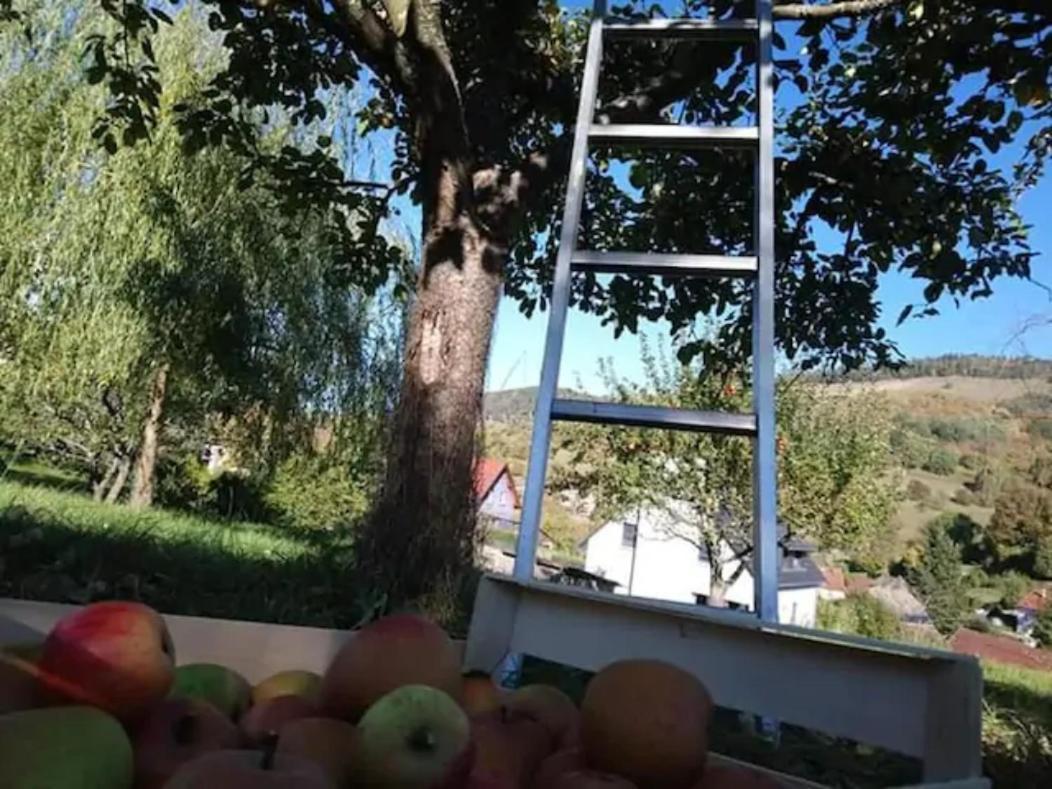 Les Locations De Stephanie ,Gite L'Arbre Vert Sondernach 외부 사진
