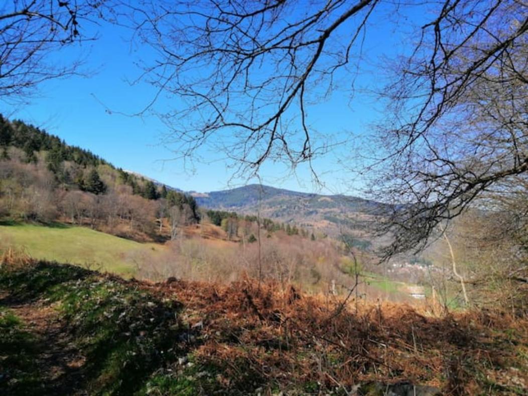 Les Locations De Stephanie ,Gite L'Arbre Vert Sondernach 외부 사진