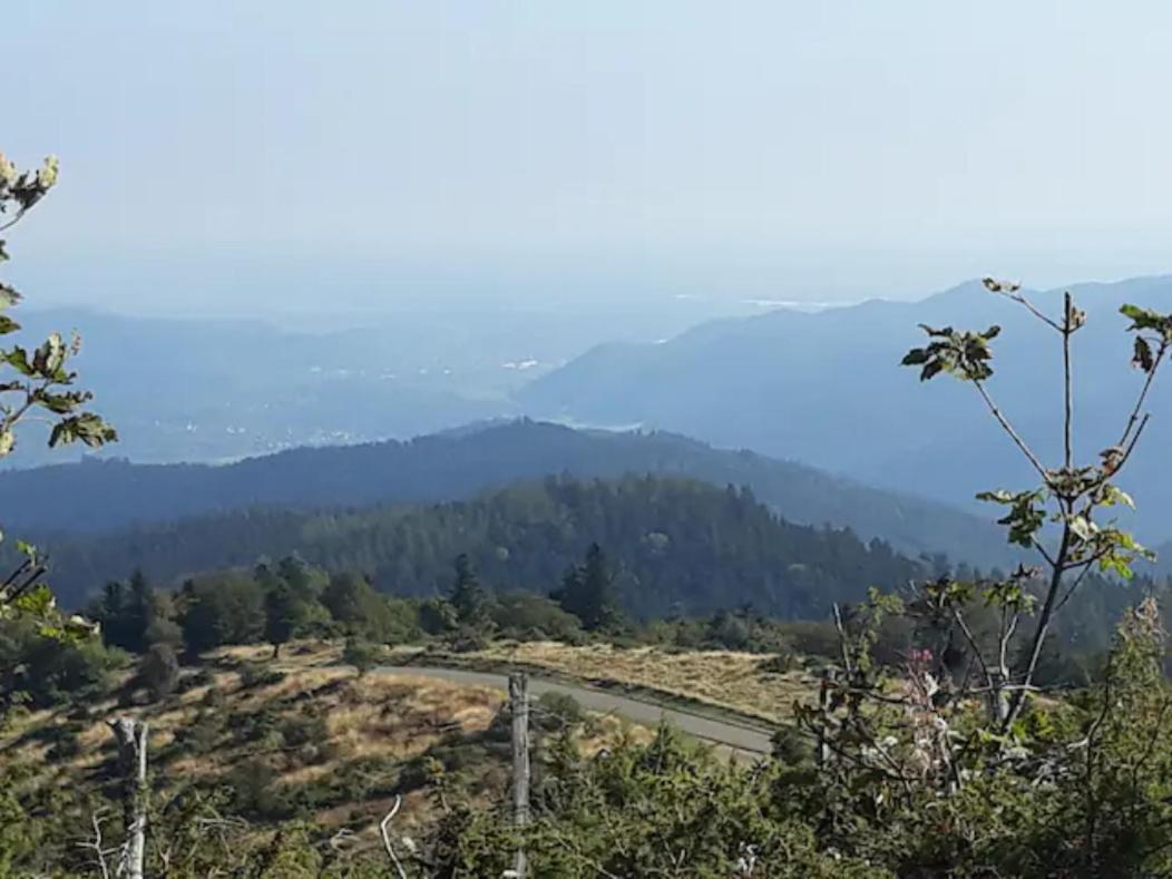 Les Locations De Stephanie ,Gite L'Arbre Vert Sondernach 외부 사진