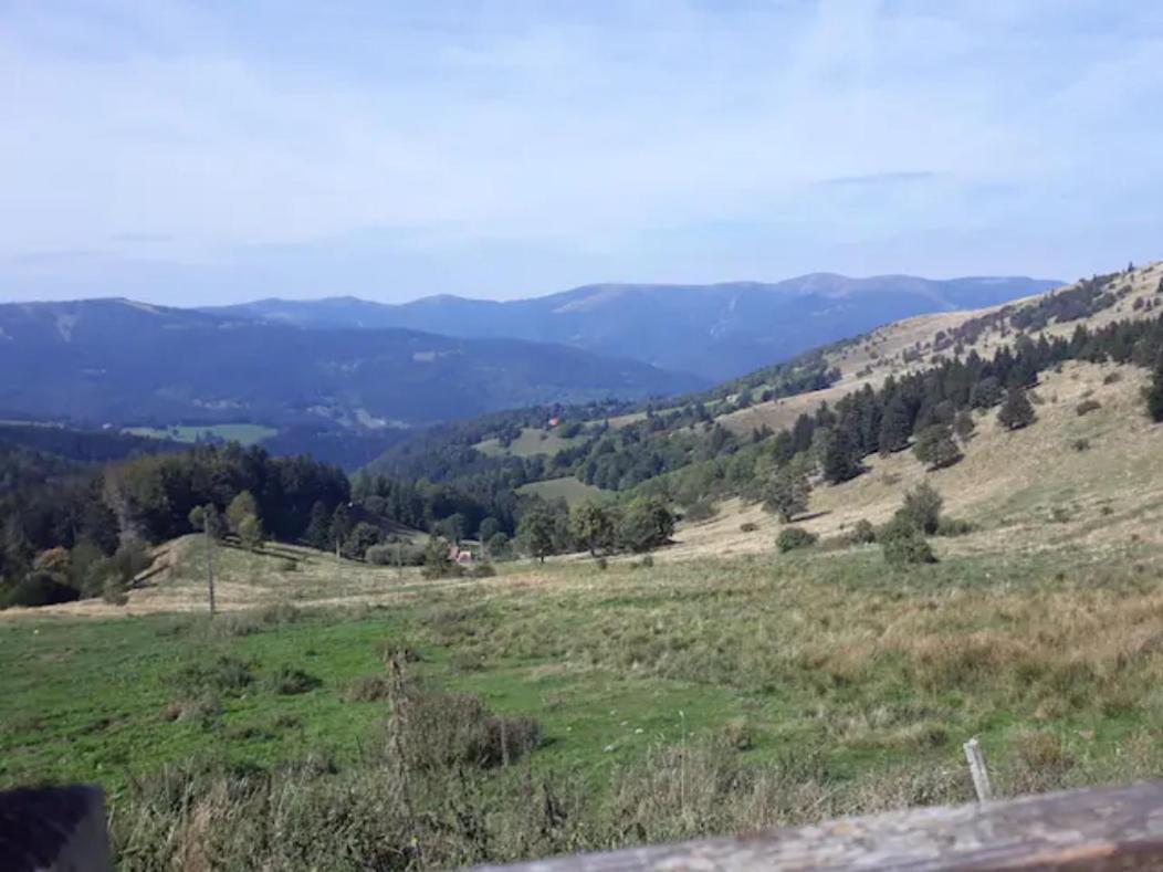 Les Locations De Stephanie ,Gite L'Arbre Vert Sondernach 외부 사진
