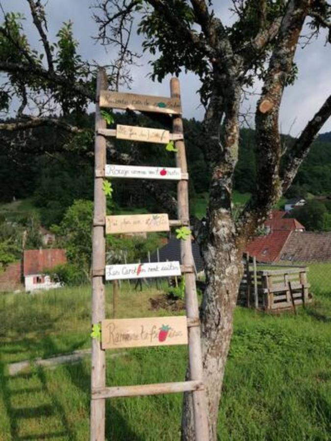 Les Locations De Stephanie ,Gite L'Arbre Vert Sondernach 외부 사진