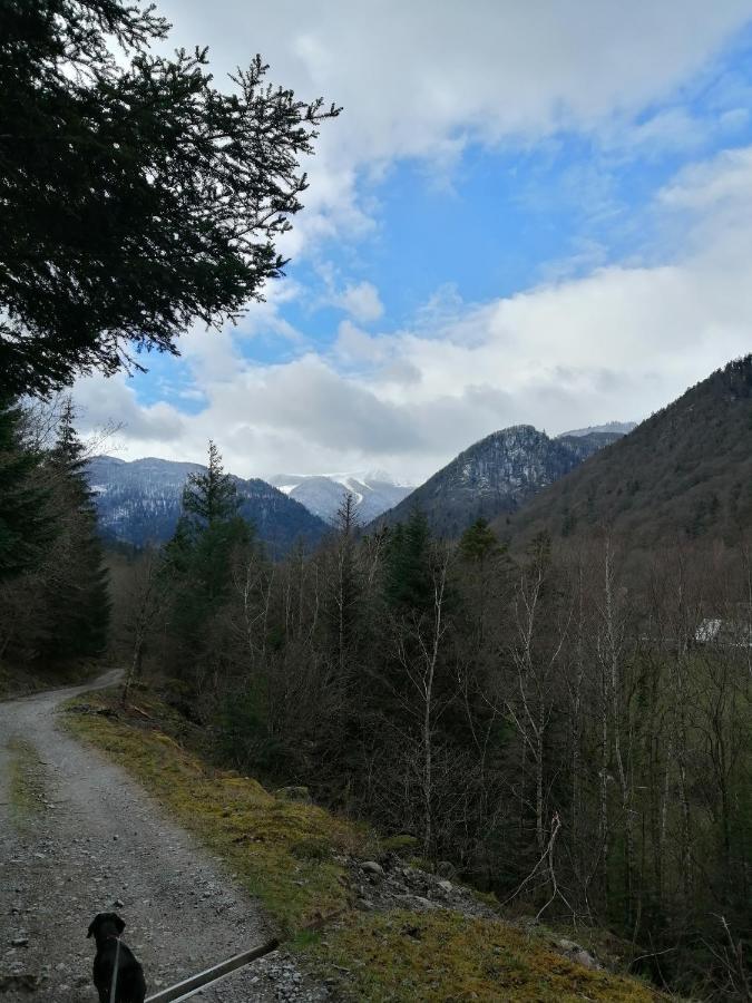 Les Locations De Stephanie ,Gite L'Arbre Vert Sondernach 외부 사진